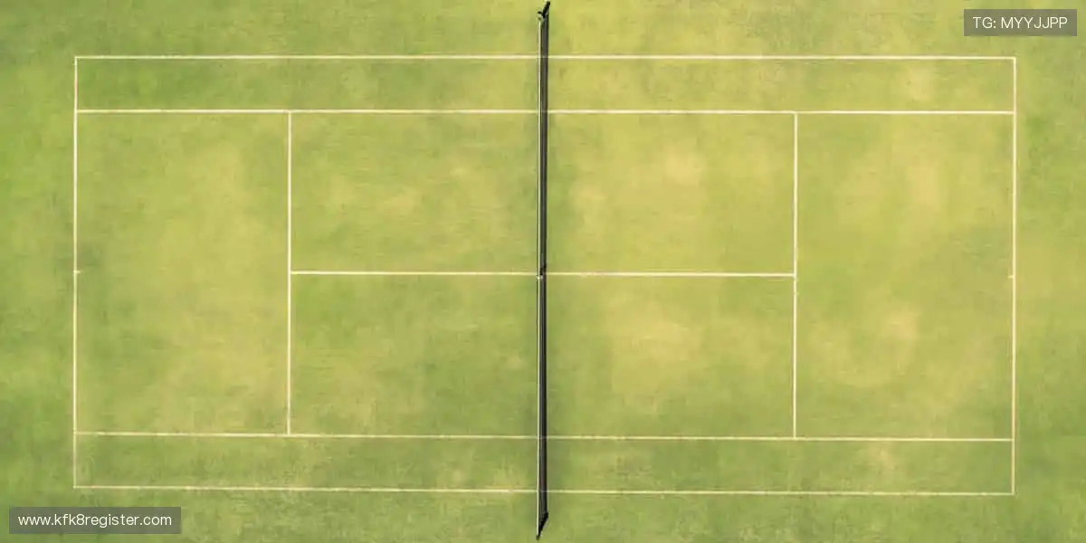 专业解说全程相伴，观赛体验升级不止🌟